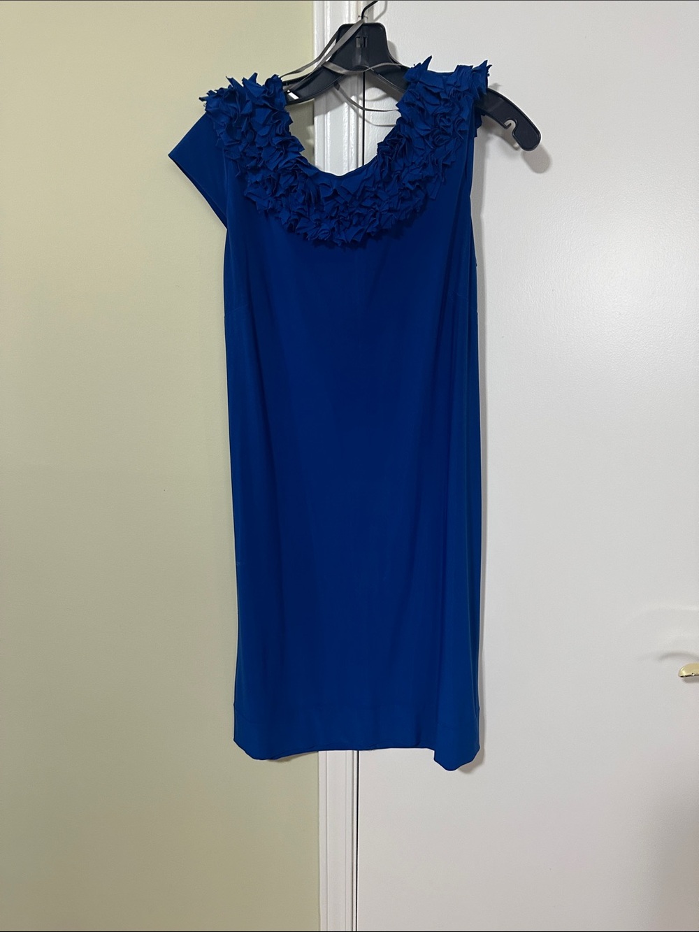 Taylor  sleeveless Cobalt Blue Floral Appliqué Dress